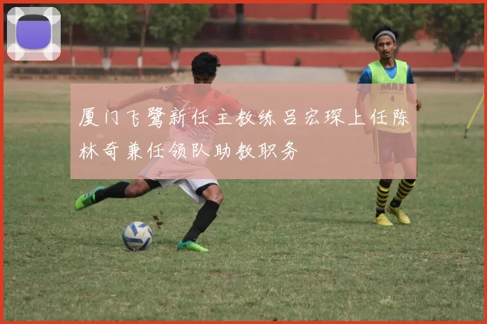 厦门飞鹭新任主教练吕宏琛上任陈林奇兼任领队助教职务