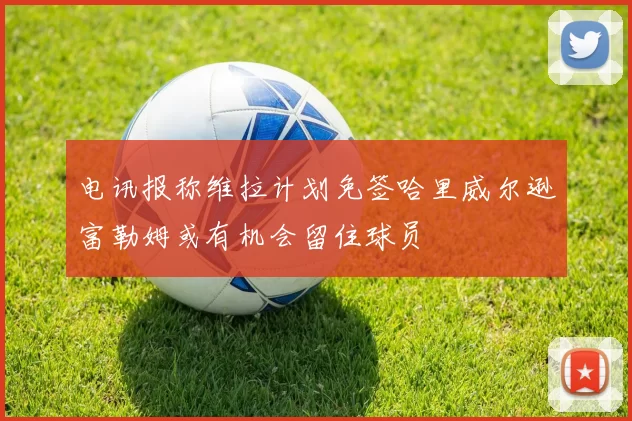 电讯报称维拉计划免签哈里威尔逊富勒姆或有机会留住球员